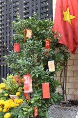 Fototapeta na wymiar Tet Lucky Money Tree with Vietnamese Flag, Ho Chi Minh City