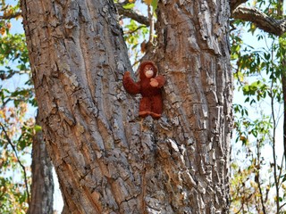 Monkey Toy in a tree in Chiang Mai, Thailand