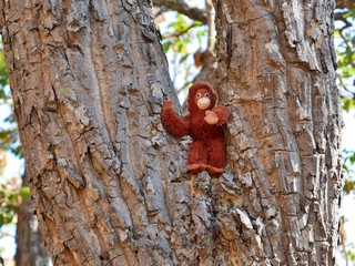 Monkey Toy in a tree in Chiang Mai, Thailand
