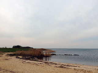 Scenic view of beach against clouds