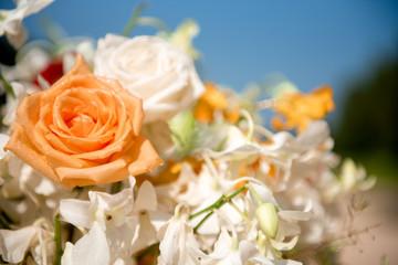 bouquet of roses