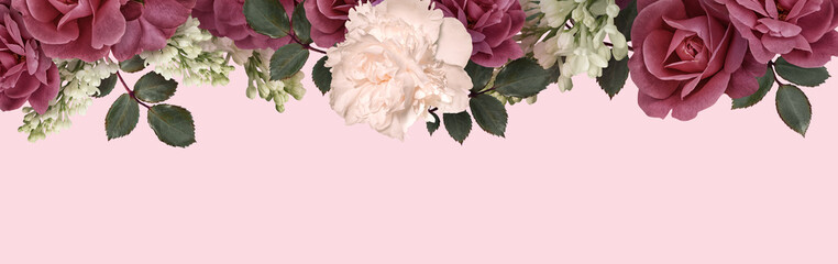 Border floral banner, header with copy space. Dark red roses, white peony, lilac isolated on pink...