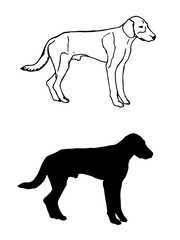 Outline drawing of a dog, sketch