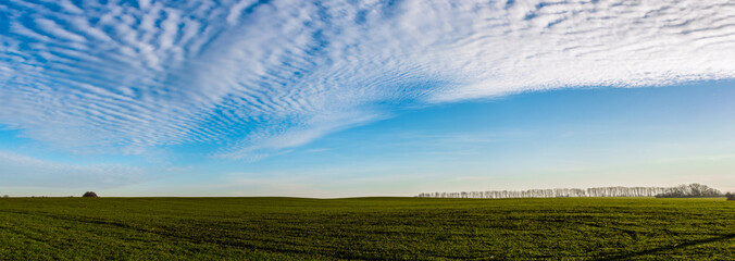 panorama of green field and blue sky