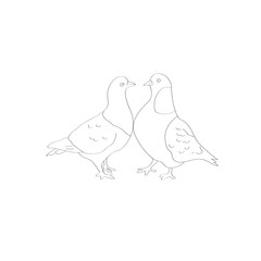 Two  doves, sketch vector illustration isolated on white background. hand drawn couple of doves, symbol of love and romance, marriage icon