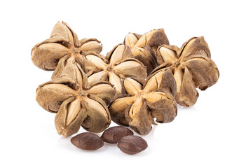 Sacha Inchi on white background