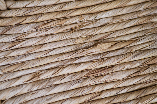 Texture 4