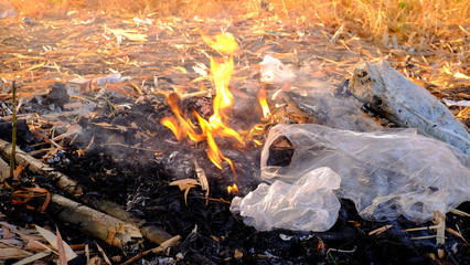 Plastic debris in the fire creates gases that are harmful to humans and nature.