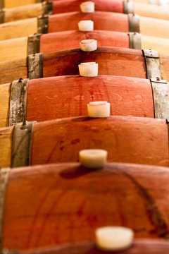 Barrels of wine in the winery I Magredi in north east Italy, Domanins, Friuli Venezia Giulia, Italy, Europe
