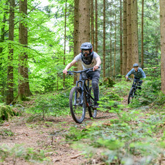 Verwegene Mountainbiker beim Downhill auf Wald-Trails