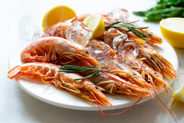 Big fresh tiger shrimps or prawns  with ice cubes, rosemary and lemon on white plate macro view. Sea food concept. Healthy and organic food concept.