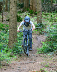 Verwegene Mountainbiker beim Downhill auf Wald-Trails