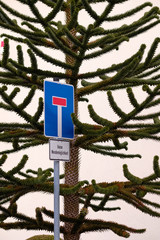 A sign for a dead end street with the note that there are no turn possibilities ( Keine...