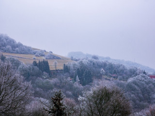 Fototapeta premium Hilly landscape - freezing fog covers trees with ice and creates an opaque white wall on the horizon
