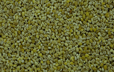 grits for cooking as a texture background