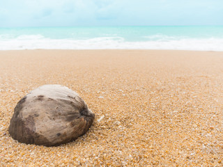 Fototapeta na wymiar Old coconut on blur image of beach sand and blue sea in thailand. summer holiday travel concept.