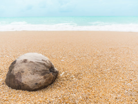 Old coconut on blur image of beach sand and blue sea in thailand. summer holiday travel concept.