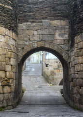 Obraz premium Arch Entrance Door in the Roman Wall of Lugo