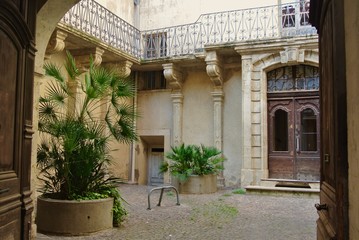Fototapeta na wymiar Entrance to a typical french patio. Green palm trees in pots, openwork metal balconies, wooden large shabby brown doors. Abandoned view, decadence, retro, vintage. Bordeaux, Aquitaine, France