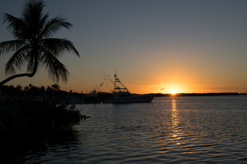 Fototapeta premium Palm & boat silhouette