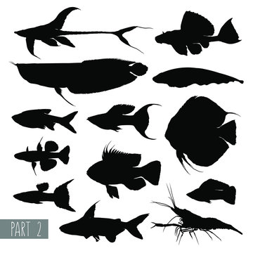 Aquarium fish silhouettes, most popular. Set 2. Vector illustration