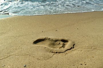 footprints of a person in the wet sand of a beach