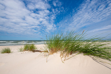 Beautiful summer landscape of sea coast and dunes