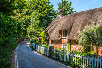 Fototapeta na wymiar Dorset cottage with a thatched roof in summer