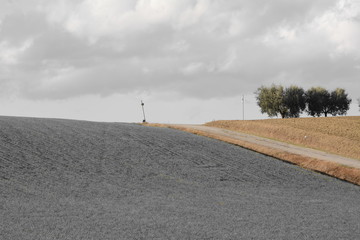 alberi