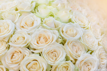 Flowers composition. Bouquet of white roses as a floral background or greeting card close-up.