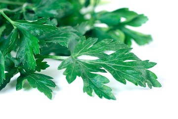 Fresh parsley isolated on a white background, vegetable.