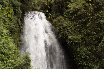 waterfall in forest