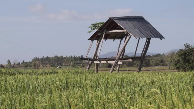 a rickety wooden arbor stands in Vietnam, in an empty field