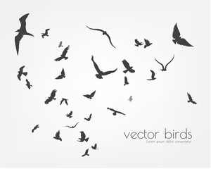 Fototapeta na wymiar figure set flock of flying birds on tree branch