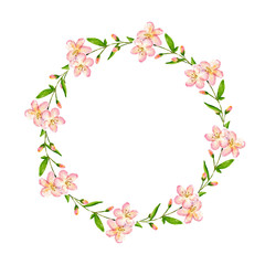 Fototapeta na wymiar Cherry blossom wreath. Watercolor flowers background. Delicate spring illustration isolated on the white background with copyspace. Perfect for the wedding invitation, valentines cad, Easter card. 