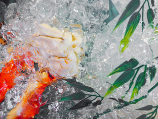 Japanese king crab displayed in the ice bucket for sale in Japan.
