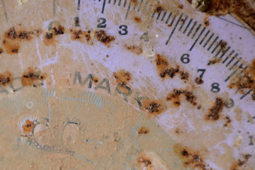 rust