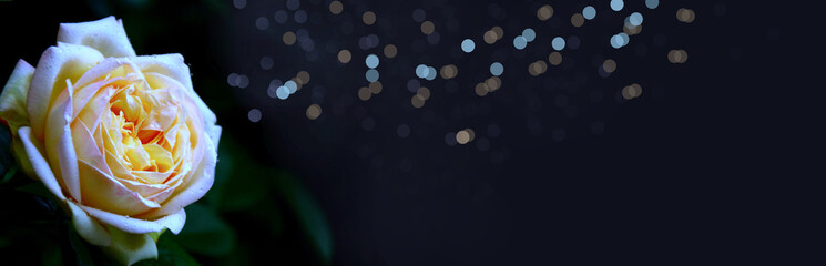 rose trauer banner