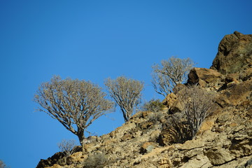 Mountains de Gran Canaria, Canary Islands, Spain