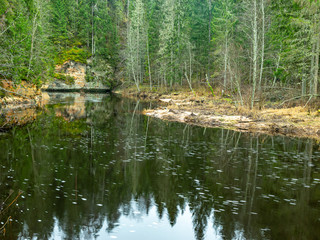 landscape with small river and green trees ashore