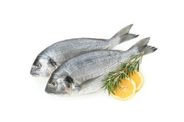 Dorado fishes, lemon and rosemary isolated on white background