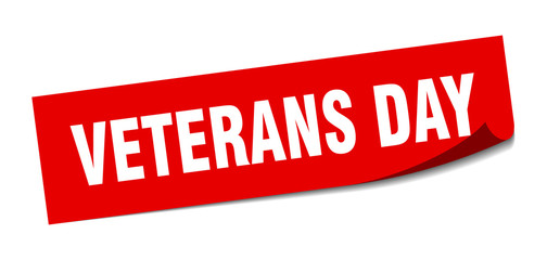 veterans day sticker. veterans day square sign. veterans day. peeler