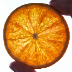 Backlit Orange Slice
