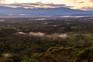  Indichuris viewpoint