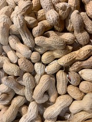 Fototapeta premium Raw peanuts in shell