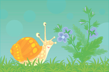 Funny garden snail friendly smiling and smelling a wonderful aroma of a beautiful wildflower among green grass of a field on a beautiful summer day, vector cartoon illustration
