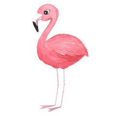 Watercolor tropical pink flamingo bird