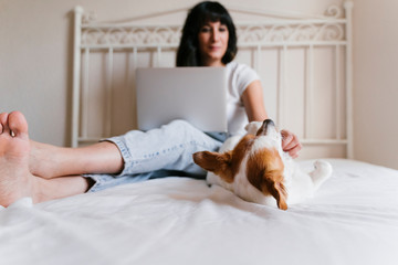 young caucasian woman on bed working on laptop. Cute small dog lying besides. Love for animals and technology concept. Lifestyle indoors