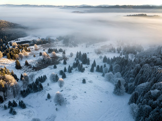 Snow covered frozen trees in the foggy sunrise,captured from above with drone. Winter nature background. Transylvania,Romania.