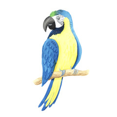 Watercolor tropical parrot clipart